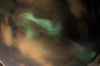Filename=Img_9149-s.jpg
Filesize=107KiB
Dimensions=1296x864
Date added=Jan 22, 2016 Img_9149-s.jpg