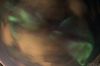 Filename=Img_9152-s.jpg
Filesize=103KiB
Dimensions=1296x864
Date added=Jan 22, 2016 Img_9152-s.jpg