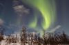 Tiedostonimi=Img_3765-s.jpg
Tiedostokoko=171kt
Koko=1296x864
Lisätty=27.01.2018 Img_3765-s.jpg
