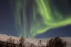 Filename=Img_4031-s.jpg
Filesize=143KiB
Dimensions=1296x864
Date added=Jan 27, 2018 Img_4031-s.jpg