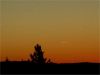 Filnamn=DSC09729r.JPG
Filstorlek=84KiB
Dimensioner=817x613
Uppladdade datum=31 Mar 2007 DSC09729r.JPG
