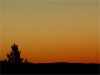Filename=DSC09732r.JPG
Filesize=79KiB
Dimensions=817x613
Date added=Mar 31, 2007 DSC09732r.JPG