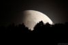 Filename=Img_1801-s.jpg
Filesize=36KiB
Dimensions=1037x691
Date added=Jul 17, 2019 Img_1801-s.jpg