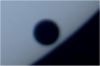 ファイル名=Venus071z.JPG
ファイルサイズ=3KB
ディメンション=181x121
登録日=2007年 03月 31日 Venus071z.JPG