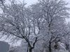 Filename=Dsc08300.jpg
Filesize=322KiB
Dimensions=1000x750
Date added=Dec 01, 2010 Dsc08300.jpg