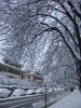 Filename=Dsc08333.jpg
Filesize=262KiB
Dimensions=750x1000
Date added=Dec 01, 2010 Dsc08333.jpg