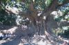 Filename=Arg202.jpg
Filesize=139KiB
Dimensions=942x630
Date added=Mar 31, 2007 Arg202.jpg