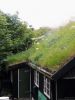 Filename=Dscn1313-s.jpg
Filesize=273KiB
Dimensions=864x1152
Date added=Sep 20, 2017 Dscn1313-s.jpg