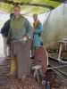 Filename=Dscn3395-s.jpg
Filesize=274KiB
Dimensions=864x1152
Date added=Sep 10, 2017 Dscn3395-s.jpg