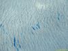 Dscn9163-s.jpg