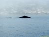 Dscn9276-s.jpg