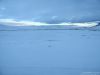 Filename=Dscn1118-s.jpg
Filesize=89KiB
Dimensions=1037x778
Date added=Feb 24, 2023 Dscn1118-s.jpg