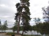 Nom du fichier=Dscn8022-s.jpg
Taille du fichier=291Ko
Dimensions : 1152x864
Ajouté le : 24 Novembre 2015 Dscn8022-s.jpg