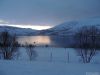 Filename=DSCN4378-s.JPG
Filesize=194KiB
Dimensions=1152x864
Date added=Feb 03, 2018 DSCN4378-s.JPG