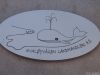 Filename=DSCN4380-s.JPG
Filesize=165KiB
Dimensions=1152x864
Date added=Feb 03, 2018 DSCN4380-s.JPG