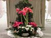 Filnavn=DSCN4486-s.JPG
Filstørrelse=239KiB
Dimensioner=1152x864
Dato for tilføjelse=03 Feb, 2018 DSCN4486-s.JPG