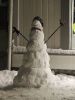 Filename=DSCN4848-s.JPG
Filesize=146KiB
Dimensions=864x1152
Date added=Feb 08, 2018 DSCN4848-s.JPG