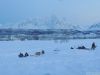 Filnavn=Dscn9995-s.jpg
Filstørrelse=129KiB
Dimensioner=1152x864
Dato for tilføjelse=03 Feb, 2018 Dscn9995-s.jpg