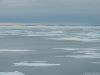 Filnavn=Dscn0356-s.jpg
Filstørrelse=124KiB
Dimensjoner=1152x864
Opplastet dato=18 Aug 2016 Dscn0356-s.jpg