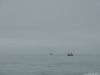 Dscn9300-s.jpg
