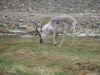 Dscn7218-s.jpg