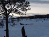 Filename=Dscn7969-s.jpg
Filesize=221KiB
Dimensions=1152x864
Date added=Jan 15, 2014 Dscn7969-s.jpg