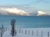 Filename=Dscn6231-s.jpg
Filesize=199KiB
Dimensions=1152x864
Date added=Mar 16, 2019 Dscn6231-s.jpg